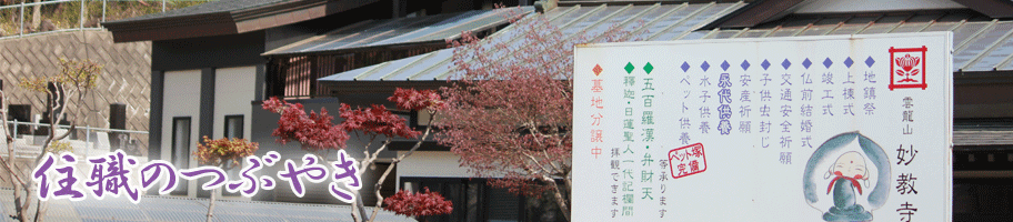 �Z�E�̂Ԃ₫